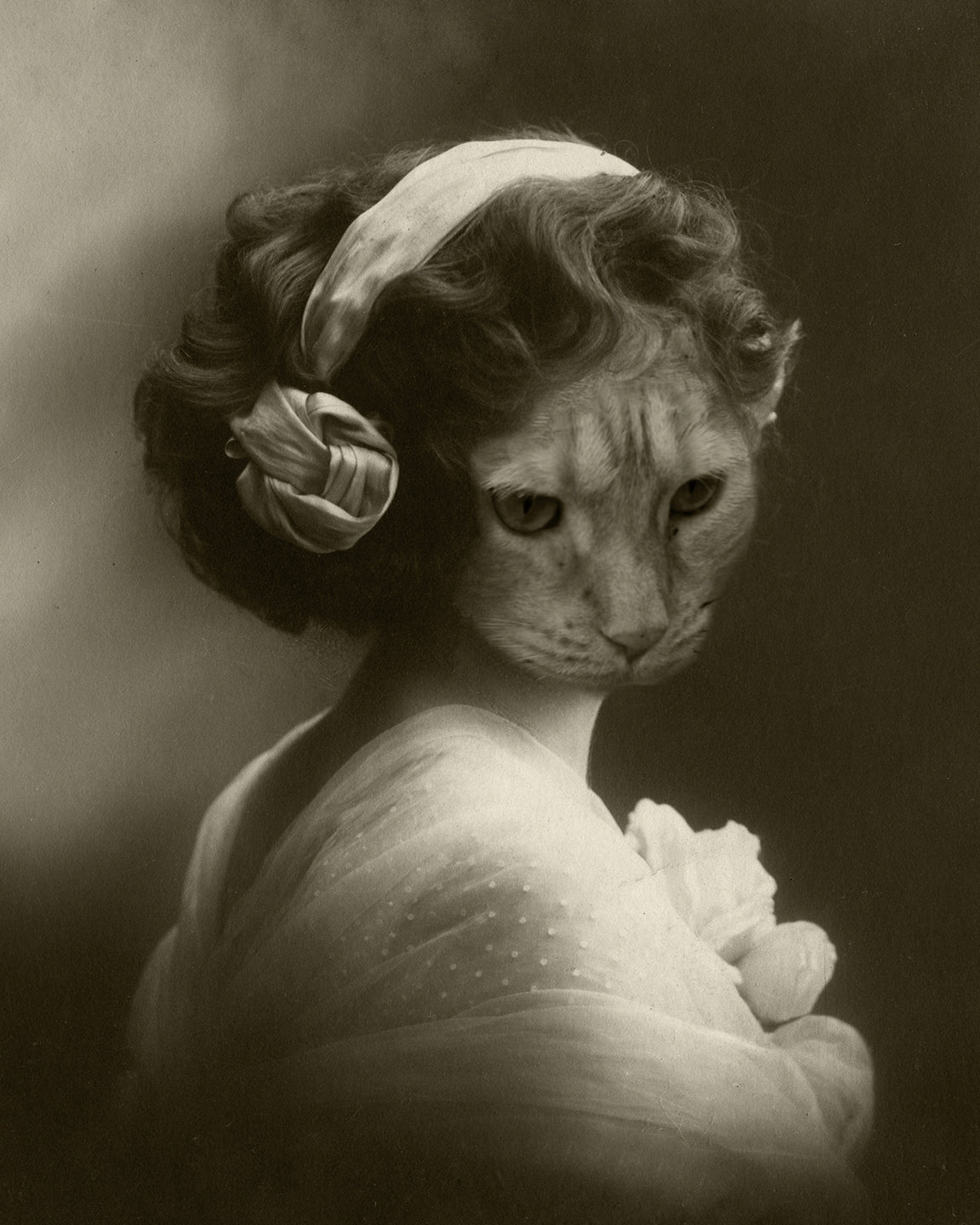 Lost Kat Photography Art Print - 4x6-8x12 - Makers Market