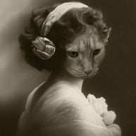 Lost Kat Photography Art Print - 4x6-8x12 - Makers Market