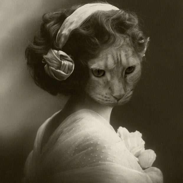 Lost Kat Photography Art Print - 4x6-8x12 - Makers Market