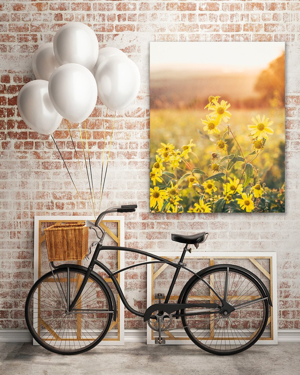 Yellow Aster at Sunset Colorado Wall Art Print - Photography