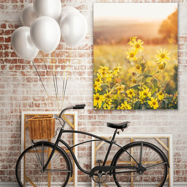 Yellow Aster at Sunset Colorado Wall Art Print - Photography