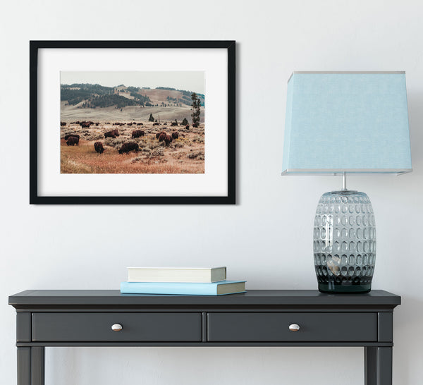 Bison Herd Yellowstone Photo Print Surreal Wildlife