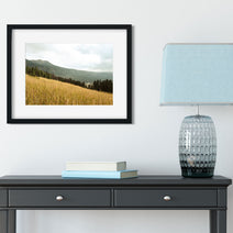 Yellowstone Meadow Photo Print Landscape Photography