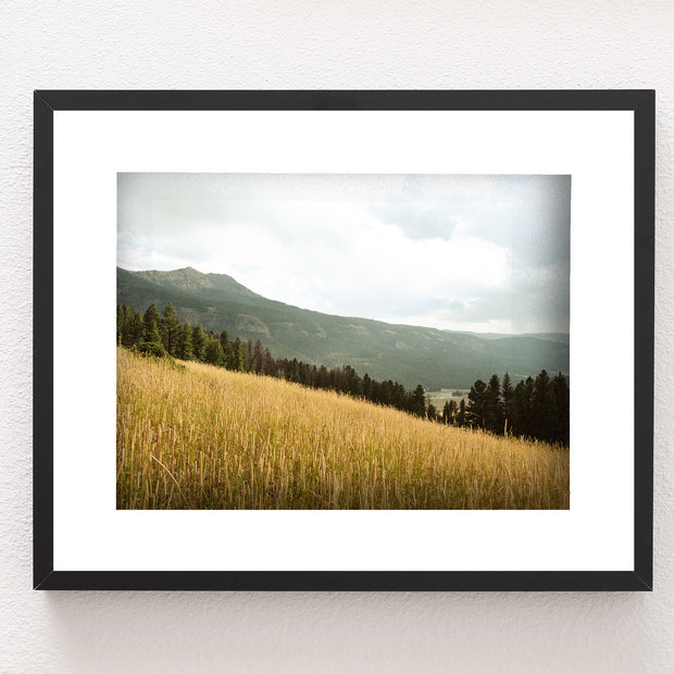 Yellowstone Meadow Photo Print Landscape Photography