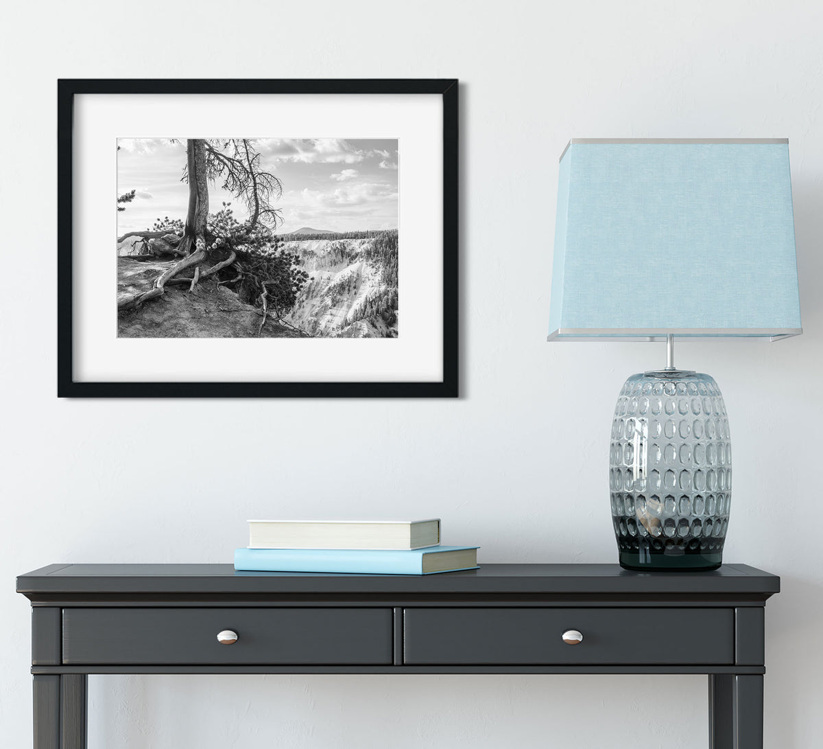 Yellowstone Tree Roots Photo Print Black and White