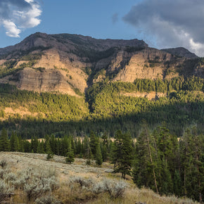Mountain at Dusk Photo Print Yellowstone Landscape