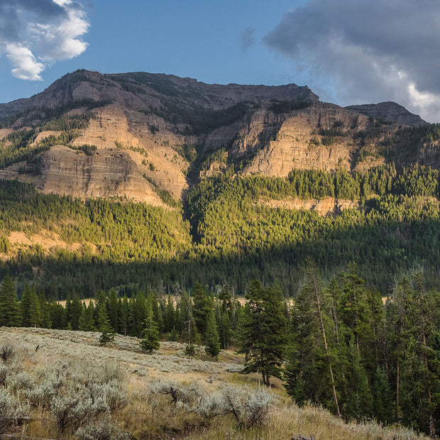 Mountain at Dusk Photo Print Yellowstone Landscape