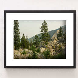 Yellowstone Photo Print Rocky Mountainside Nature