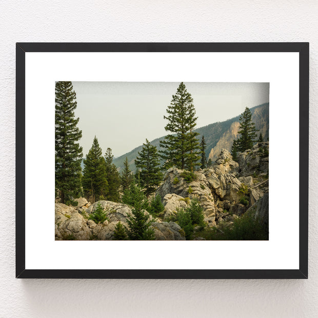 Yellowstone Photo Print Rocky Mountainside Nature