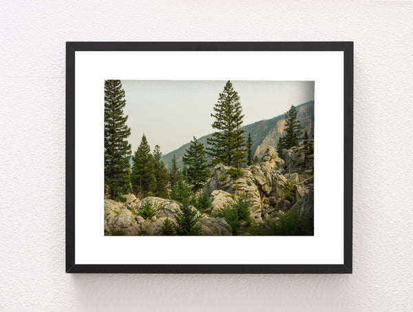 Yellowstone Photo Print Rocky Mountainside Nature