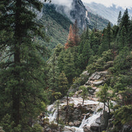 Yosemite View California Nature Wall Art Print - Photography