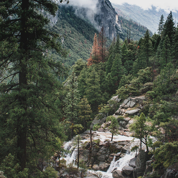 Yosemite View California Nature Wall Art Print - Photography