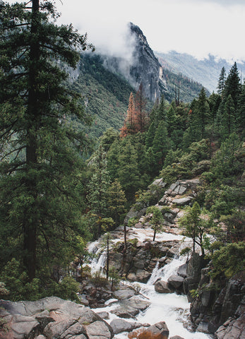 Yosemite View California Nature Wall Art Print - Photography