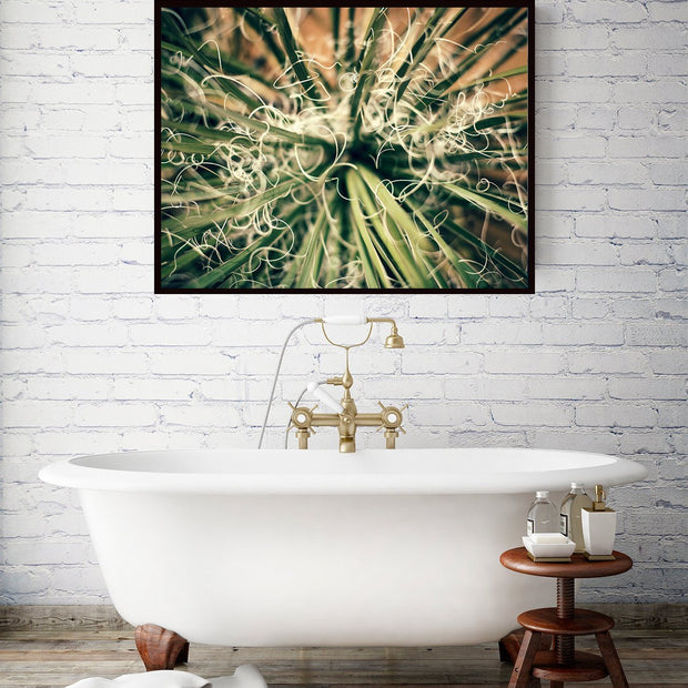 Yucca Plant Southwest Utah Wall Art Print - Photography