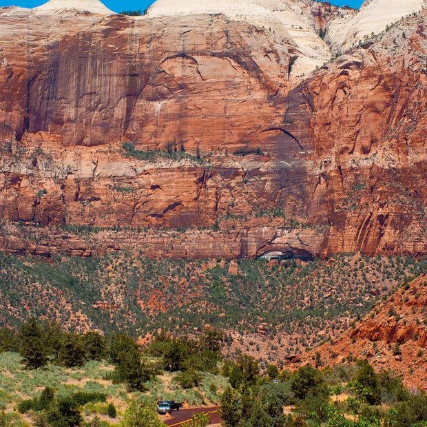 The Road to Zion Utah Nature Photography